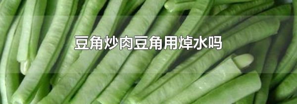 豆角炒肉豆角用焯水吗