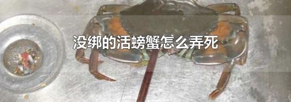 没绑的活螃蟹怎么弄死