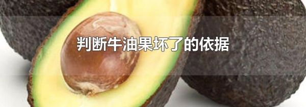 判断牛油果坏了的依据