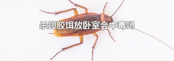 杀蟑胶饵放卧室会中毒吗