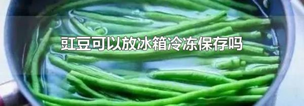 豇豆可以放冰箱冷冻保存吗