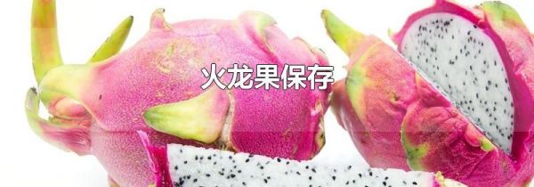 火龙果保存