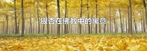 银杏在佛教中的寓意
