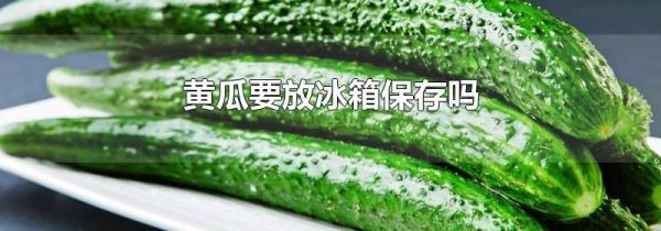 黄瓜要放冰箱保存吗