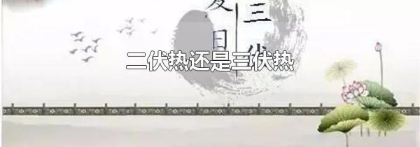 二伏热还是三伏热
