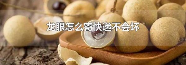 龙眼怎么寄快递不会坏