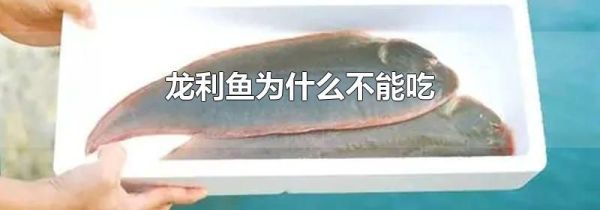 龙利鱼为什么不能吃