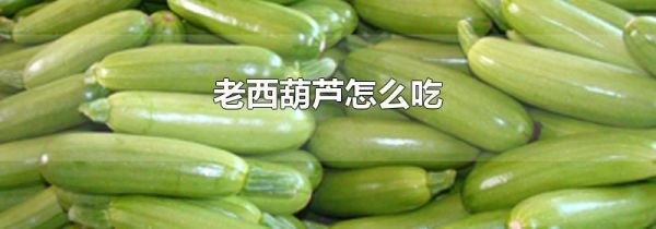 老西葫芦怎么吃
