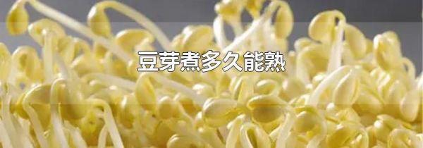 豆芽煮多久能熟