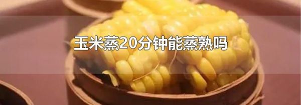 玉米蒸20分钟能蒸熟吗