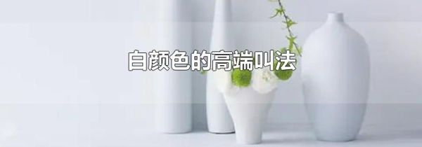 白颜色的高端叫法
