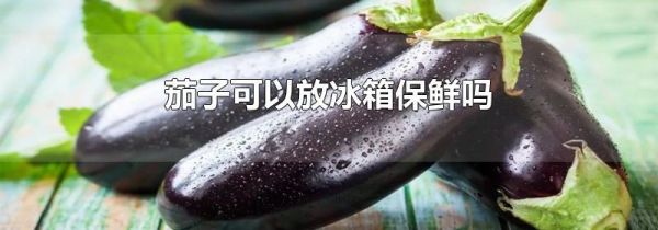 茄子可以放冰箱保鲜吗