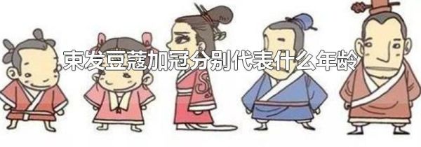 束发豆蔻加冠分别代表什么年龄