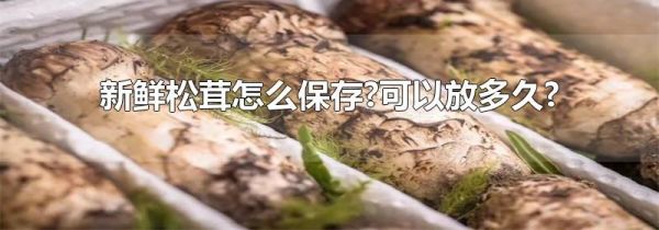 新鲜松茸怎么保存?可以放多久?