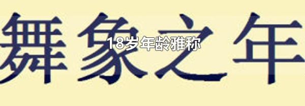 18岁年龄雅称