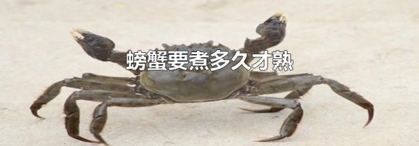 螃蟹要煮多久才熟