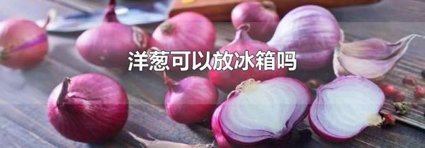 洋葱可以放冰箱吗