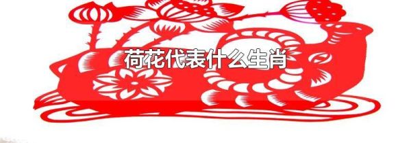 荷花代表什么生肖