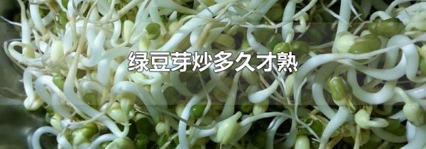 绿豆芽炒多久才熟