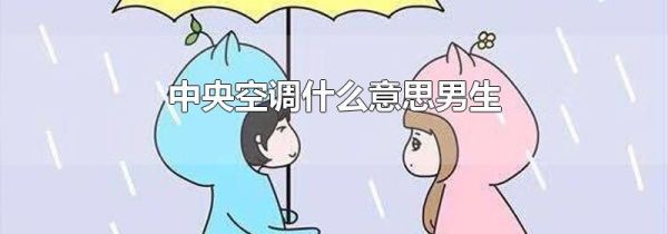 中央空调什么意思男生