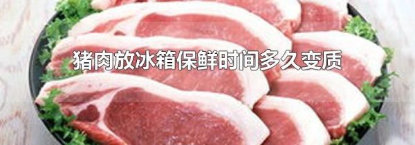 猪肉放冰箱保鲜时间多久变质