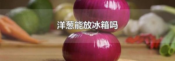 洋葱能放冰箱吗