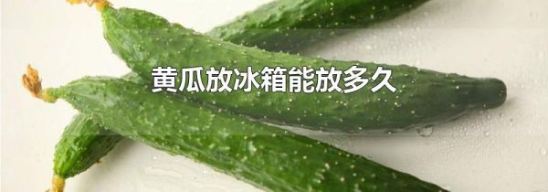 黄瓜放冰箱能放多久