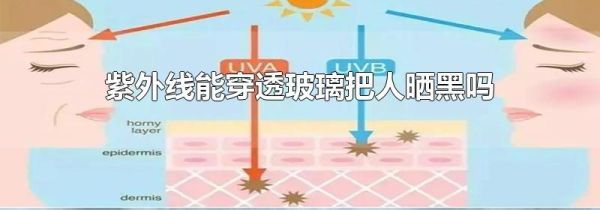 紫外线能穿透玻璃把人晒黑吗