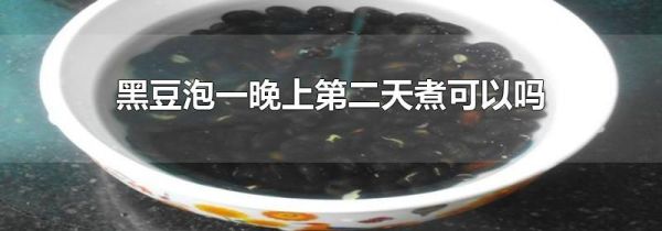 黑豆泡一晚上第二天煮可以吗