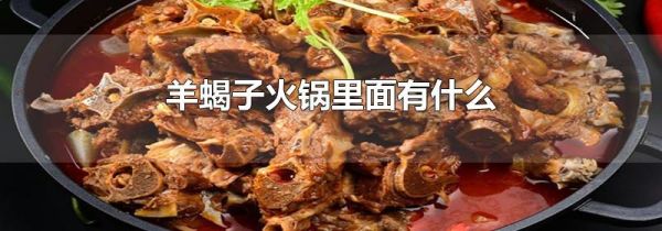 羊蝎子火锅里面有什么