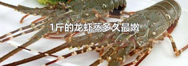 1斤的龙虾蒸多久最嫩