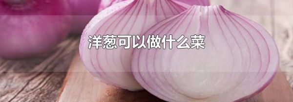 洋葱可以做什么菜