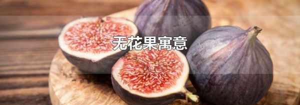 无花果寓意