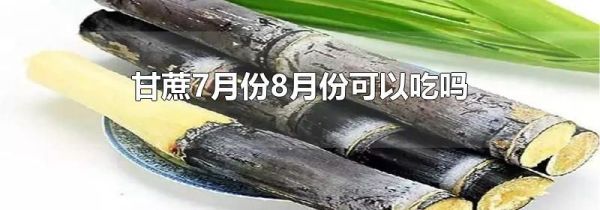 甘蔗7月份8月份可以吃吗