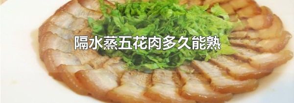 隔水蒸五花肉多久能熟