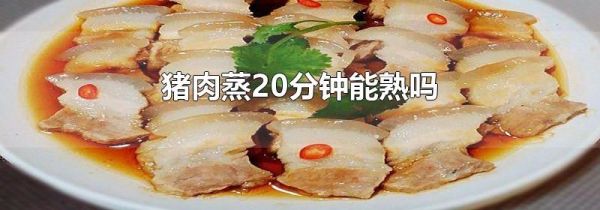 猪肉蒸20分钟能熟吗