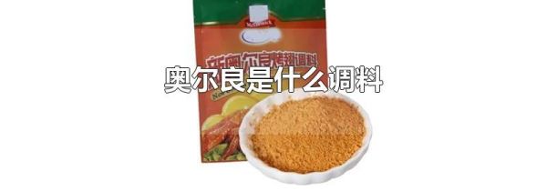 奥尔良是什么调料