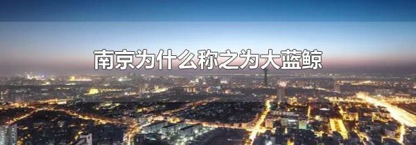 南京为什么称之为大蓝鲸