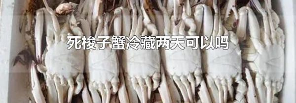 死梭子蟹冷藏两天可以吗