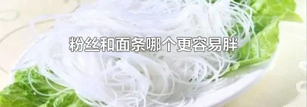 粉丝和面条哪个更容易胖