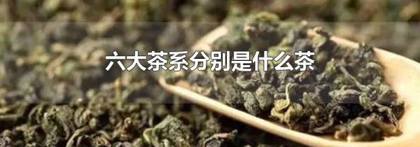六大茶系分别是什么茶