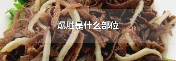 爆肚是什么部位
