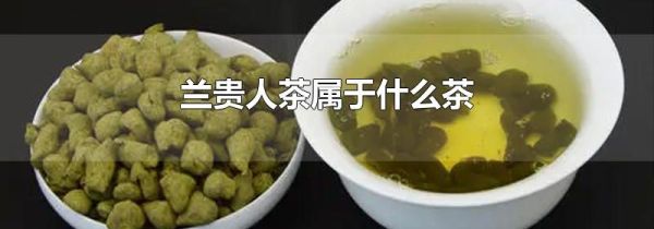 兰贵人茶属于什么茶
