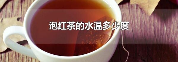泡红茶的水温多少度