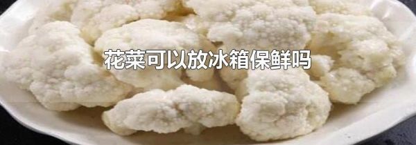 花菜可以放冰箱保鲜吗