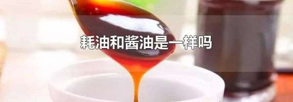耗油和酱油是一样吗