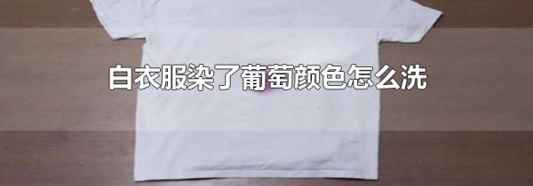 白衣服染了葡萄颜色怎么洗