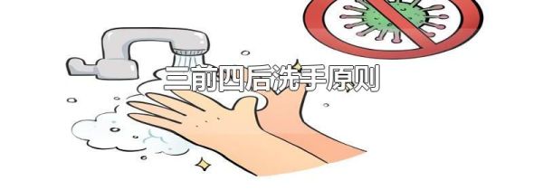 三前四后洗手原则