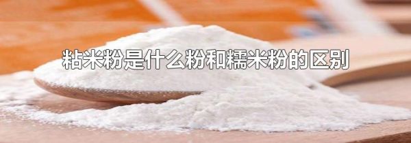 粘米粉是什么粉和糯米粉的区别