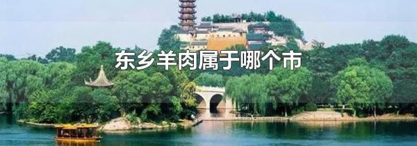 东乡羊肉属于哪个市